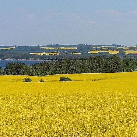 Haus Muenster In - 250 Meter Zum Wohlenberg